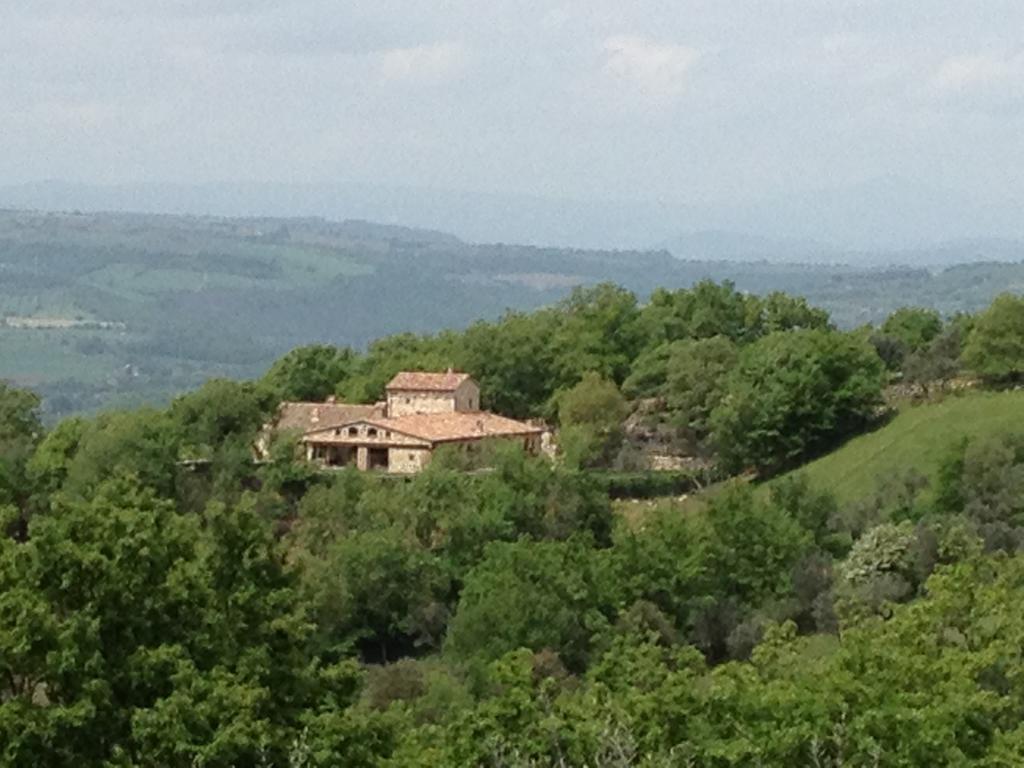 Luxury Villa Colle Dell'Asinello ,Proprietari ,Villa In Esclusiva Near Orvieto Guardea Szoba fotó