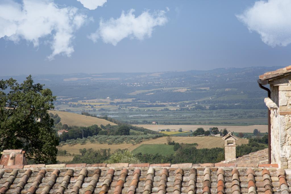 Luxury Villa Colle Dell'Asinello ,Proprietari ,Villa In Esclusiva Near Orvieto Guardea Kültér fotó